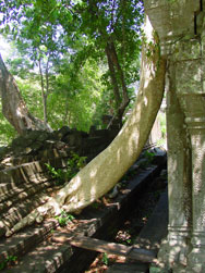 http://www.canbypublications.com/siemreap/temples/photos-temples/ph-bengmelea3.jpg